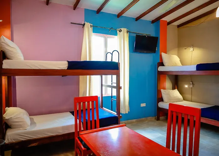 Funk Bunk - Mount View Lodge