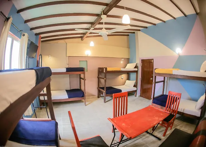 Funk Bunk - Mount View Lodge